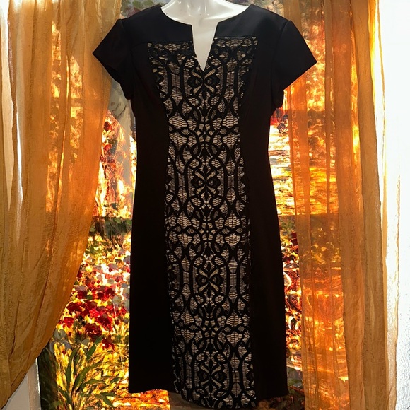 Dress Barn Collection Bodycon Dress - Picture 4 of 4